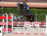 Mazzeo Jasmine Noir GioCav2013 S5 4083 : Campionati Italiani Giovani Cavalli, Cattolica, Jasmine Noir, Mazzeo Alesio, ph Stefano Secchi ©